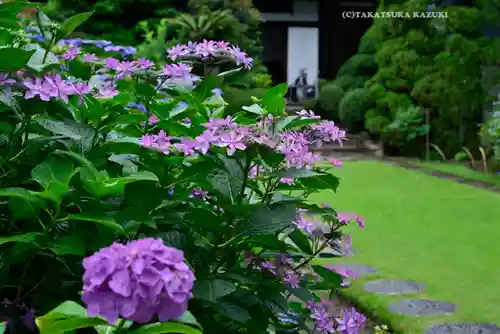 高幡不動尊　金剛寺(東京都)