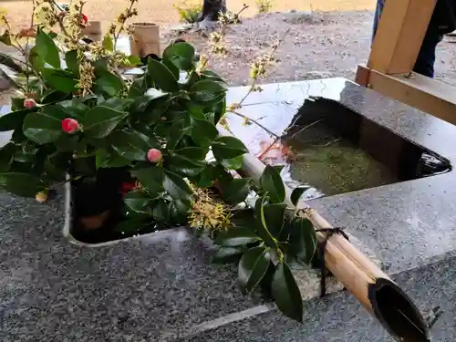 高司神社〜むすびの神の鎮まる社〜の手水