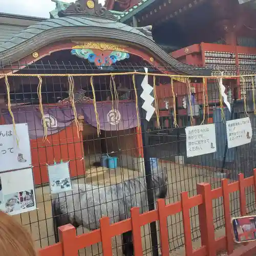 神田神社（神田明神）の動物