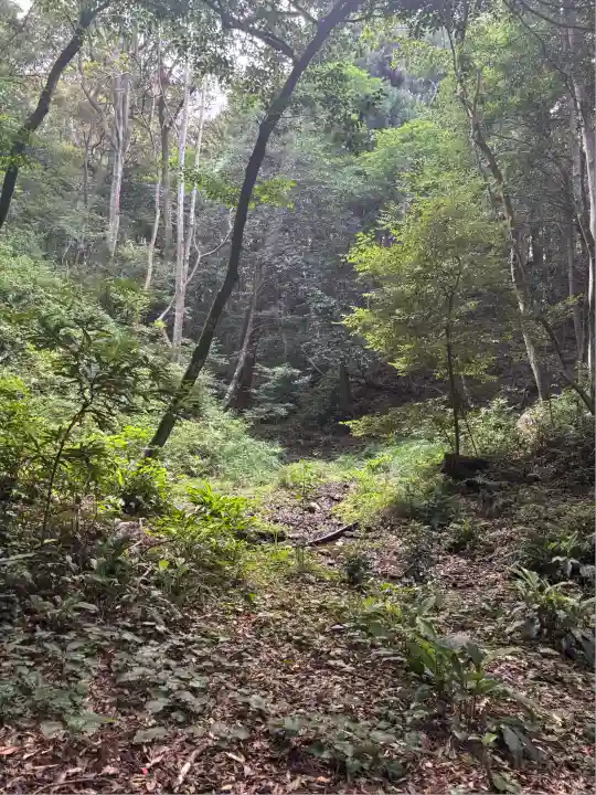 伊勢神宮外宮(豊受大神宮)(三重県)