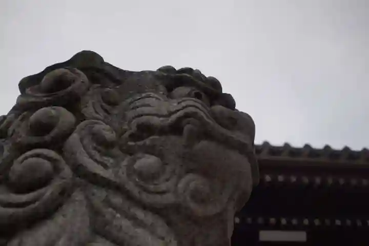 若宮八幡宮の狛犬