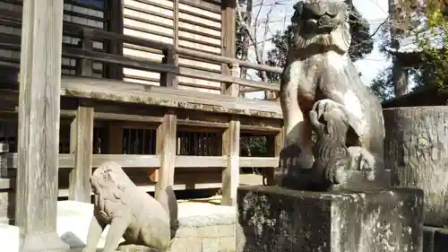 橘樹神社の狛犬