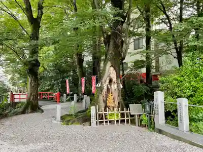 秩父今宮神社(埼玉県)