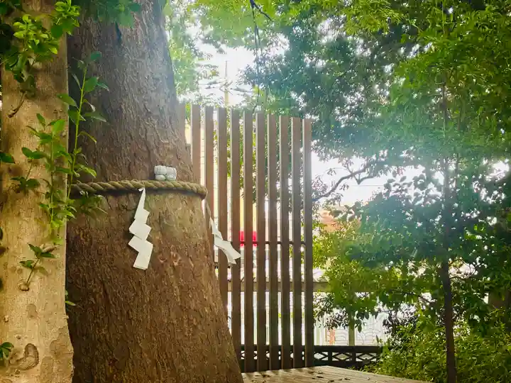 鎮守氷川神社(埼玉県)