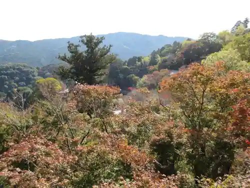 長谷寺の景色