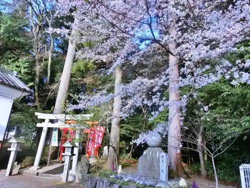 立志神社の鳥居