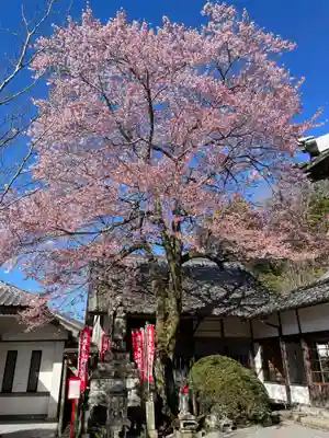 修禅寺(静岡県)