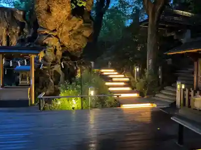 來宮神社(静岡県)