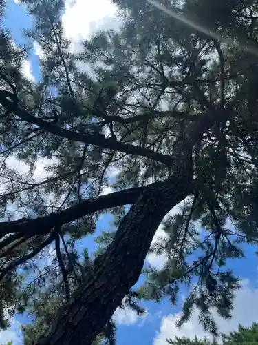 建部大社の自然