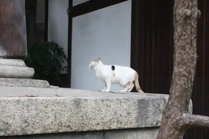 行願寺(革堂)(京都府)