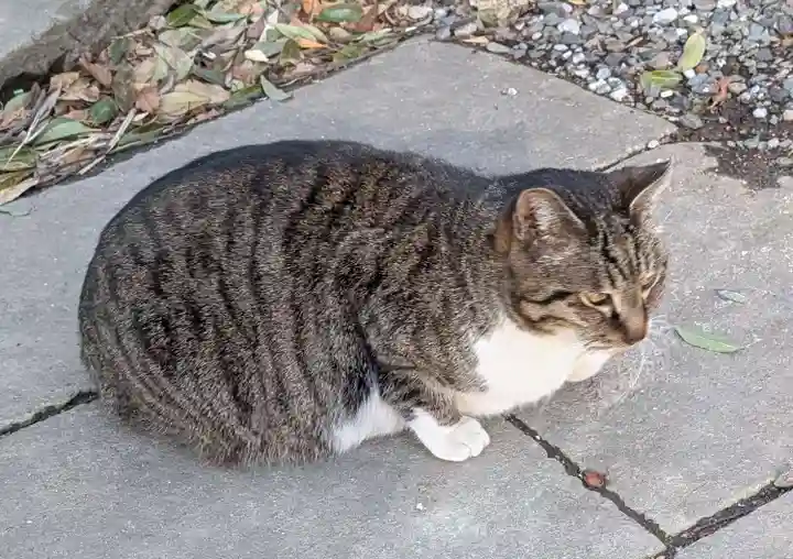 阿邪訶根神社(福島県)