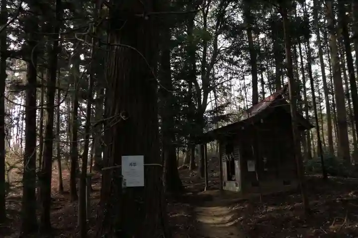鹿島大神宮の末社・摂社