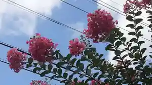 西方山極楽寺(岐阜県)(2022年07月11日(月) 10時21分22秒投稿)