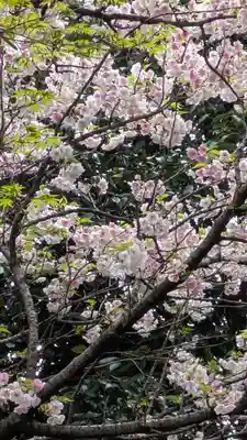 大念寺(京都府)