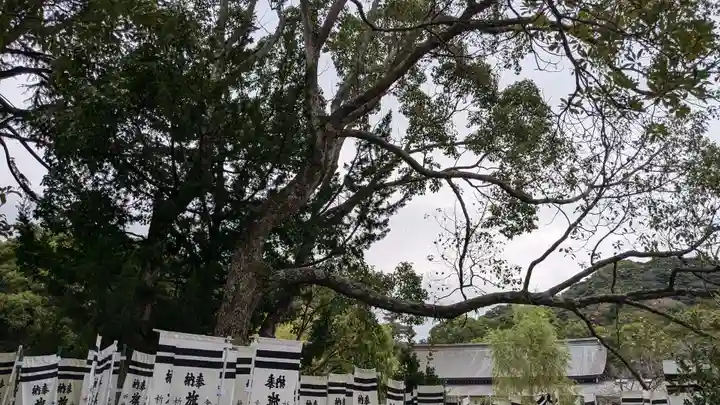 旗上弁財天社の自然