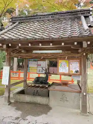 大原野神社の手水舎