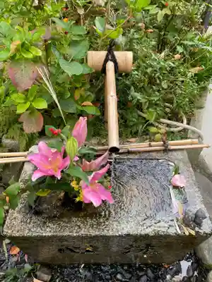 宝蔵寺(京都府)