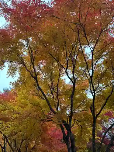 山神社(長野県)