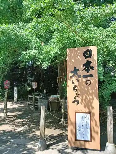 水戸八幡宮の{uncategorized: "未分類", other: "その他", undefined: "問題あり", building: "その他建物", grave: "お墓", sacred_gate: "鳥居", guardian: "狛犬", statue: "像", buddha: "仏像", history: "歴史", nature: "自然", garden: "庭園", animal: "動物", pagoda: "塔", temizu: "手水舎", mountain_gate: "山門・神門", sanctuary: "本殿・本堂", subordinate: "末社・摂社", art: "芸術", scenery: "景色", jizo: "地蔵", ema: "絵馬", goshuin: "御朱印", omikuji: "おみくじ", items: "授与品その他", amulet: "お守り", goshuincho: "御朱印帳", eats: "食事", festival: "お祭り", votive_dance: "神楽", shichigosan: "七五三参", wedding: "結婚式", experience: "体験その他", initially: "初詣", around: "周辺", anti_infection: "感染症対策"}