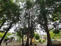 本太氷川神社の建物その他