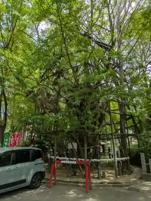 稲毛神社(神奈川県)