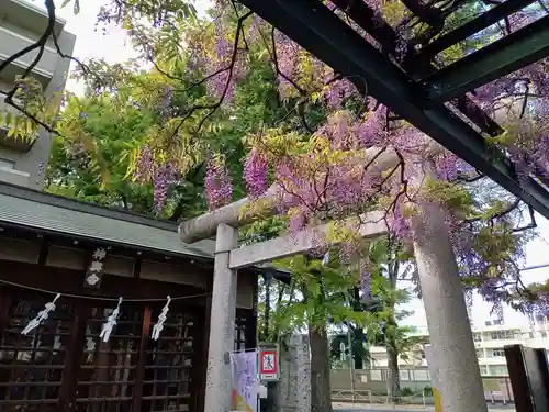 國領神社の鳥居