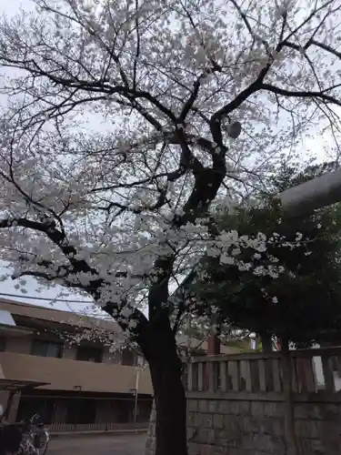 瀬田玉川神社(東京都)