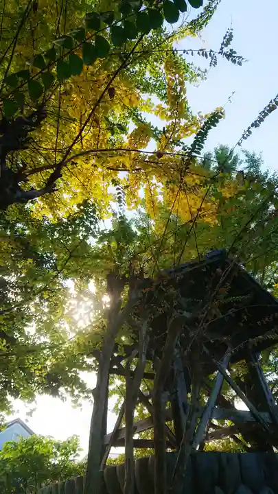 祐専寺のその他建物