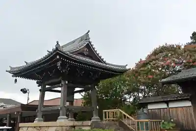 妙蓮寺のその他建物