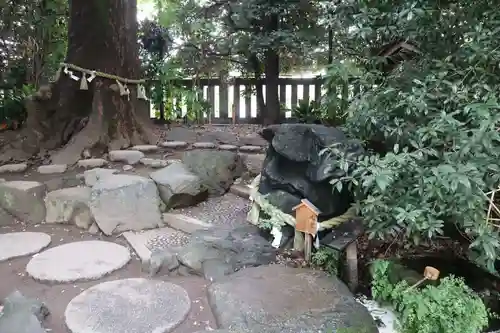 川越氷川神社(埼玉県)