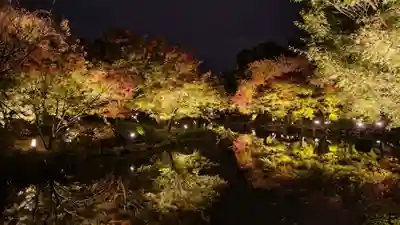 東寺（教王護国寺）(京都府)