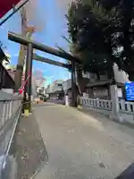 高円寺氷川神社(東京都)
