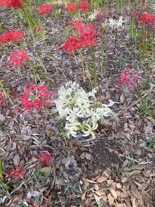 祖光院(千葉県)