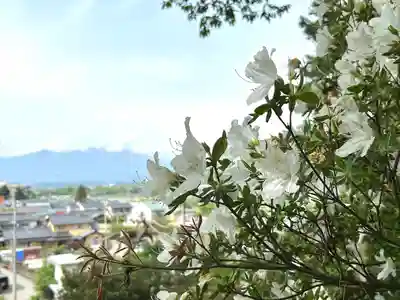 稲荷神社(長野県)