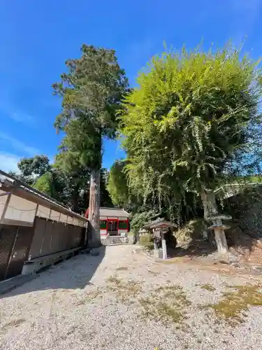 九頭神社(室生多田)(奈良県)