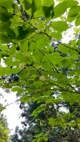 息栖神社の自然
