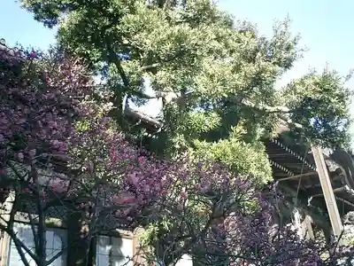 本覚寺のその他建物