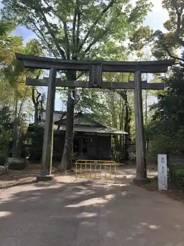 阿蘇神社の鳥居