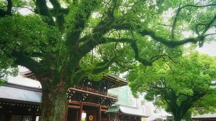 真清田神社の自然