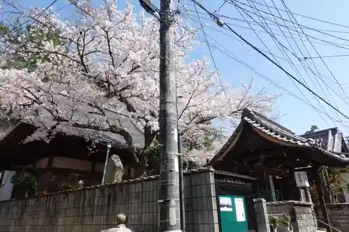 存光寺(広島県)