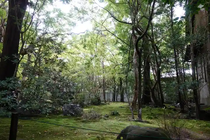 蓮華寺(洛北蓮華寺)のその他建物