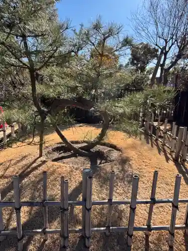 穴八幡宮(東京都)