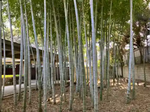 乗泉寺の{uncategorized: "未分類", other: "その他", undefined: "問題あり", building: "その他建物", grave: "お墓", sacred_gate: "鳥居", guardian: "狛犬", statue: "像", buddha: "仏像", history: "歴史", nature: "自然", garden: "庭園", animal: "動物", pagoda: "塔", temizu: "手水舎", mountain_gate: "山門・神門", sanctuary: "本殿・本堂", subordinate: "末社・摂社", art: "芸術", scenery: "景色", jizo: "地蔵", ema: "絵馬", goshuin: "御朱印", omikuji: "おみくじ", items: "授与品その他", amulet: "お守り", goshuincho: "御朱印帳", eats: "食事", festival: "お祭り", votive_dance: "神楽", shichigosan: "七五三参", wedding: "結婚式", experience: "体験その他", initially: "初詣", around: "周辺", anti_infection: "感染症対策"}