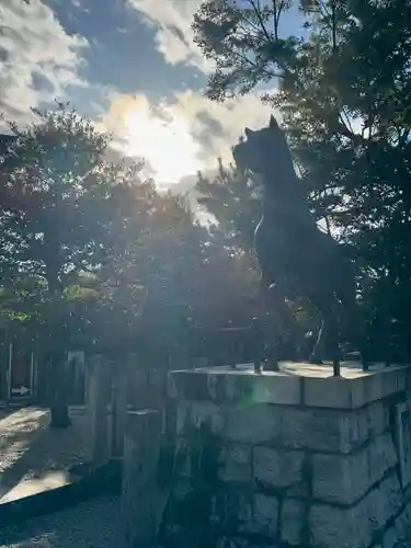 京都乃木神社の狛犬