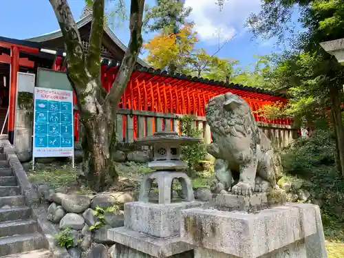 針綱神社の狛犬