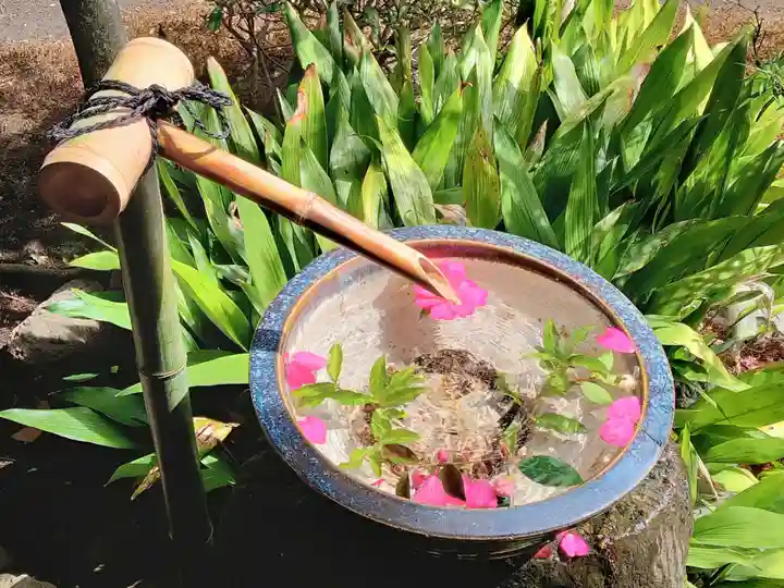 本法寺(京都府)