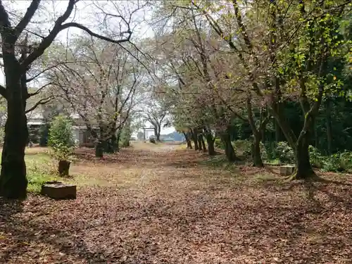 三蔵神社の自然