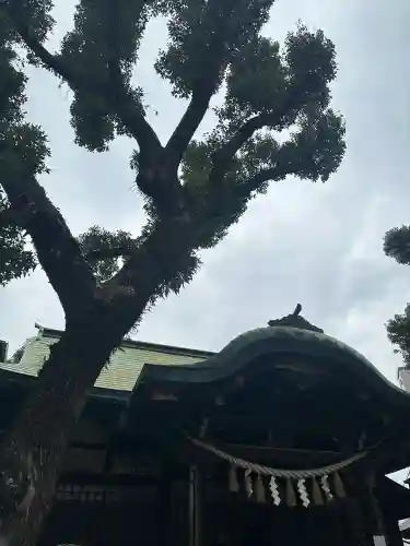 福島天満宮(大阪府)