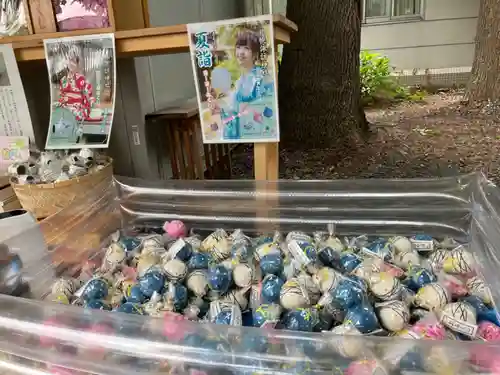 札幌諏訪神社のおみくじ