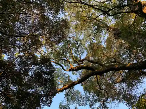 宇佐神宮の自然